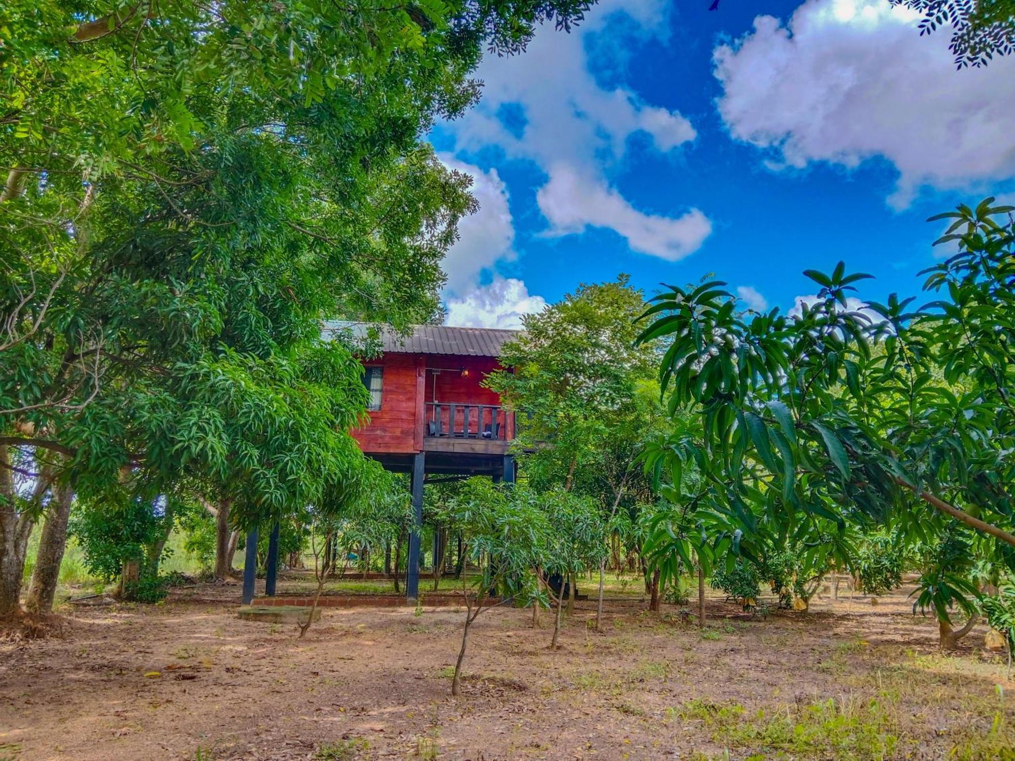 Ceylon Amigos Eco Resort Sigiriya Exterior foto