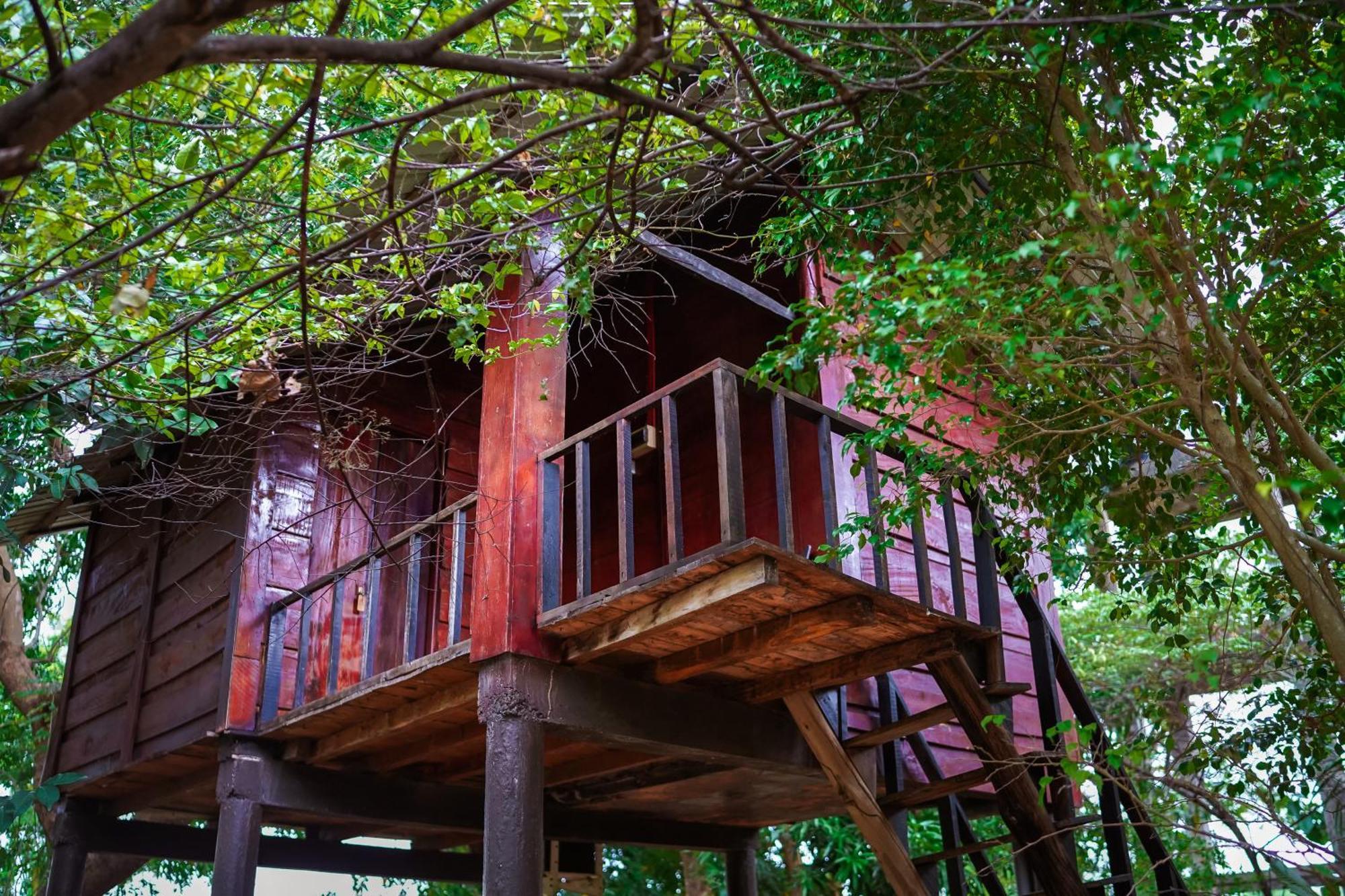 Ceylon Amigos Eco Resort Sigiriya Exterior foto